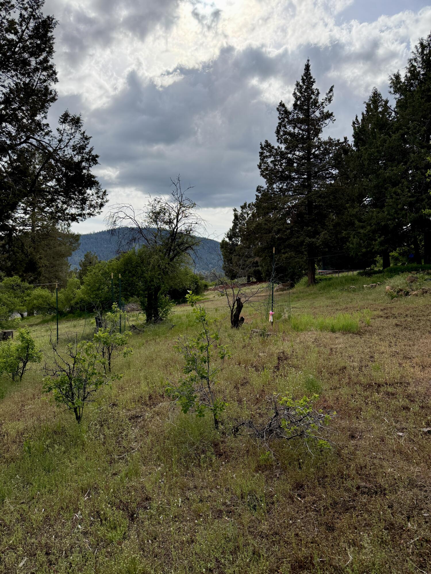 Running YResort - Land