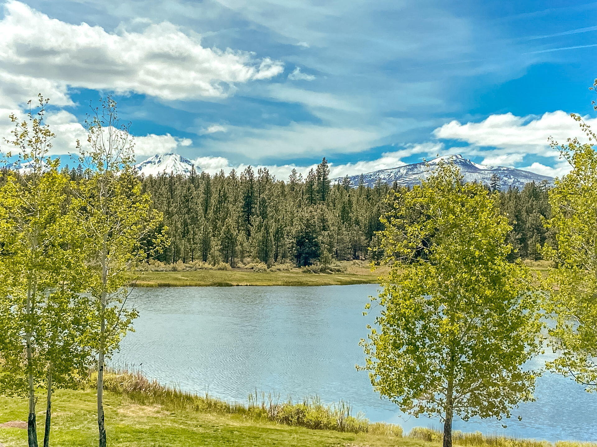 70365 Brooks Scanlon Logging Road