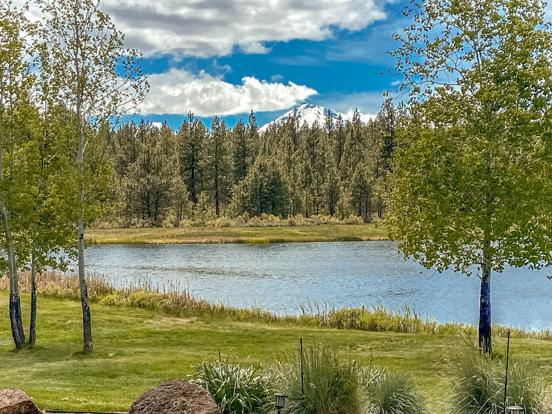 70365 Brooks Scanlon Logging Road