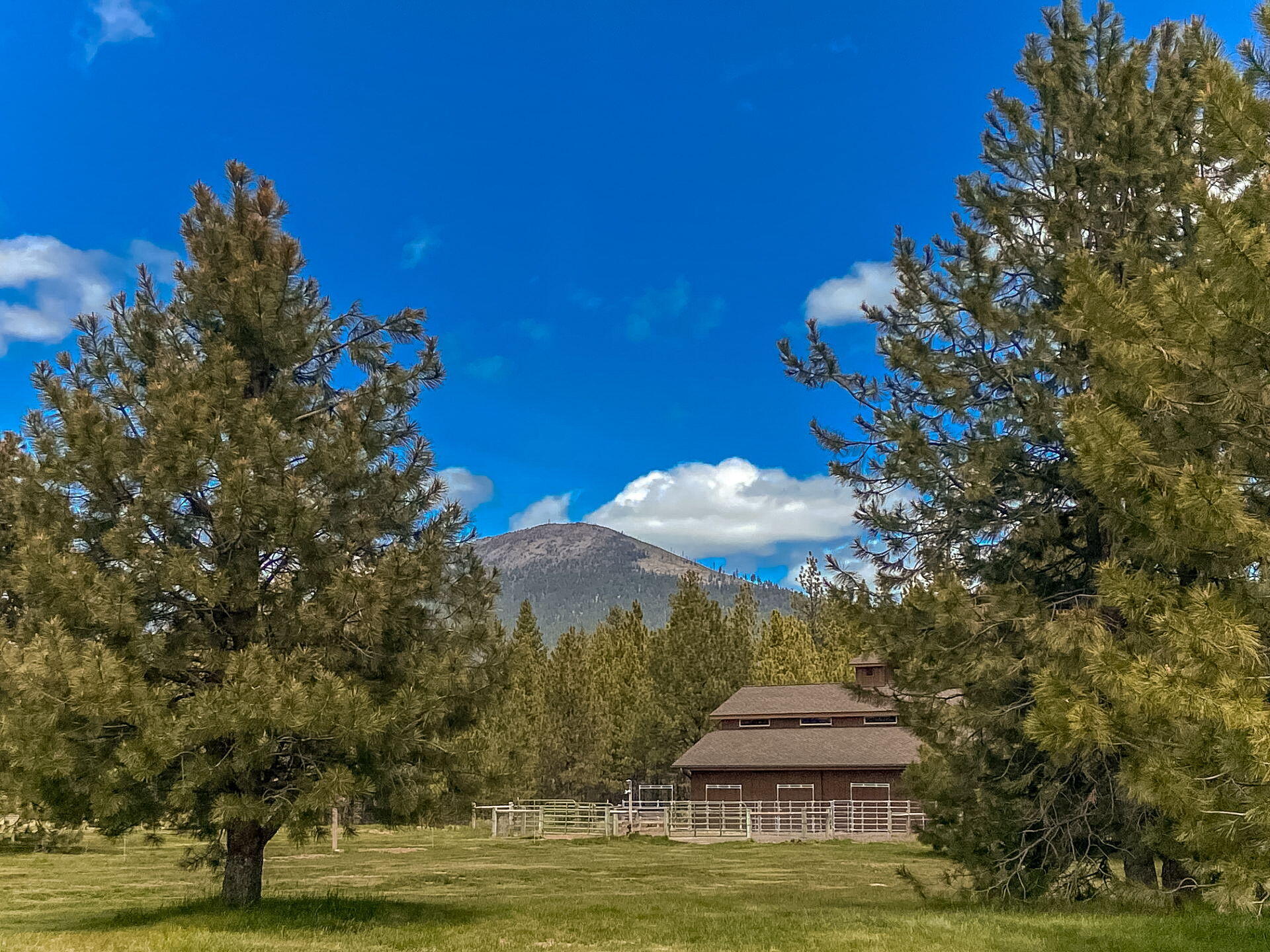 70365 Brooks Scanlon Logging Road