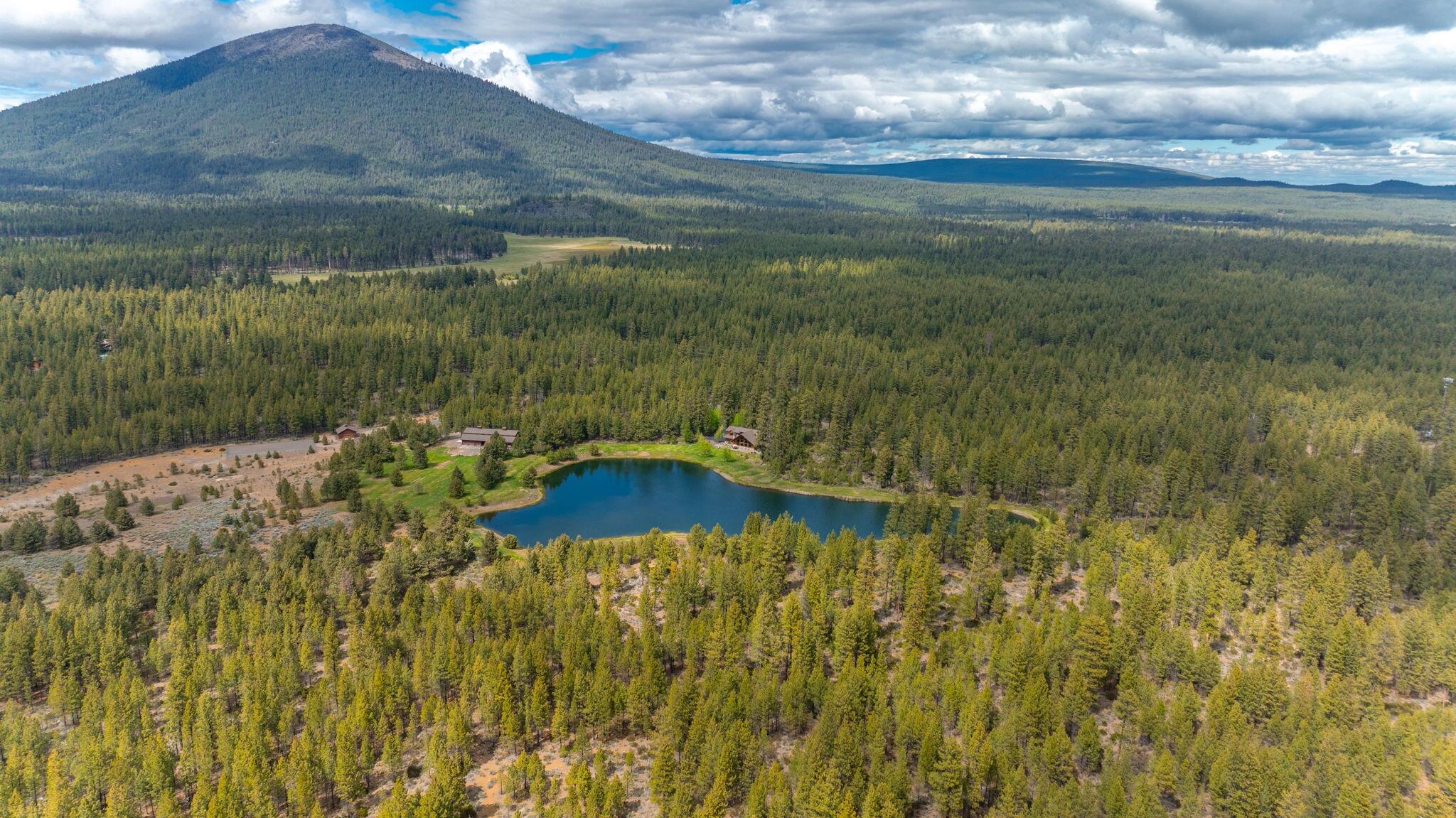 70365 Brooks Scanlon Logging Road