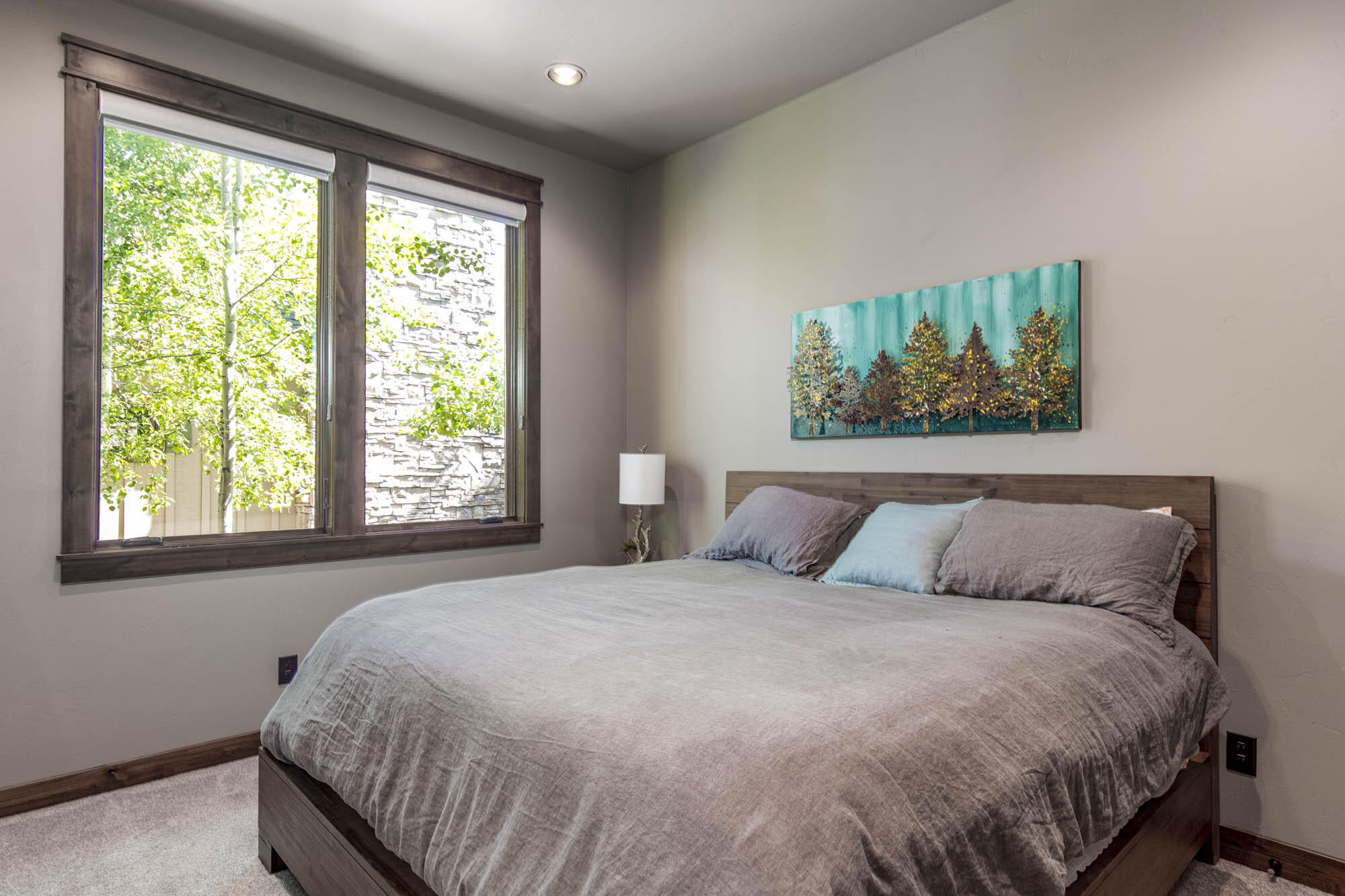 Caldera Springs - Residential