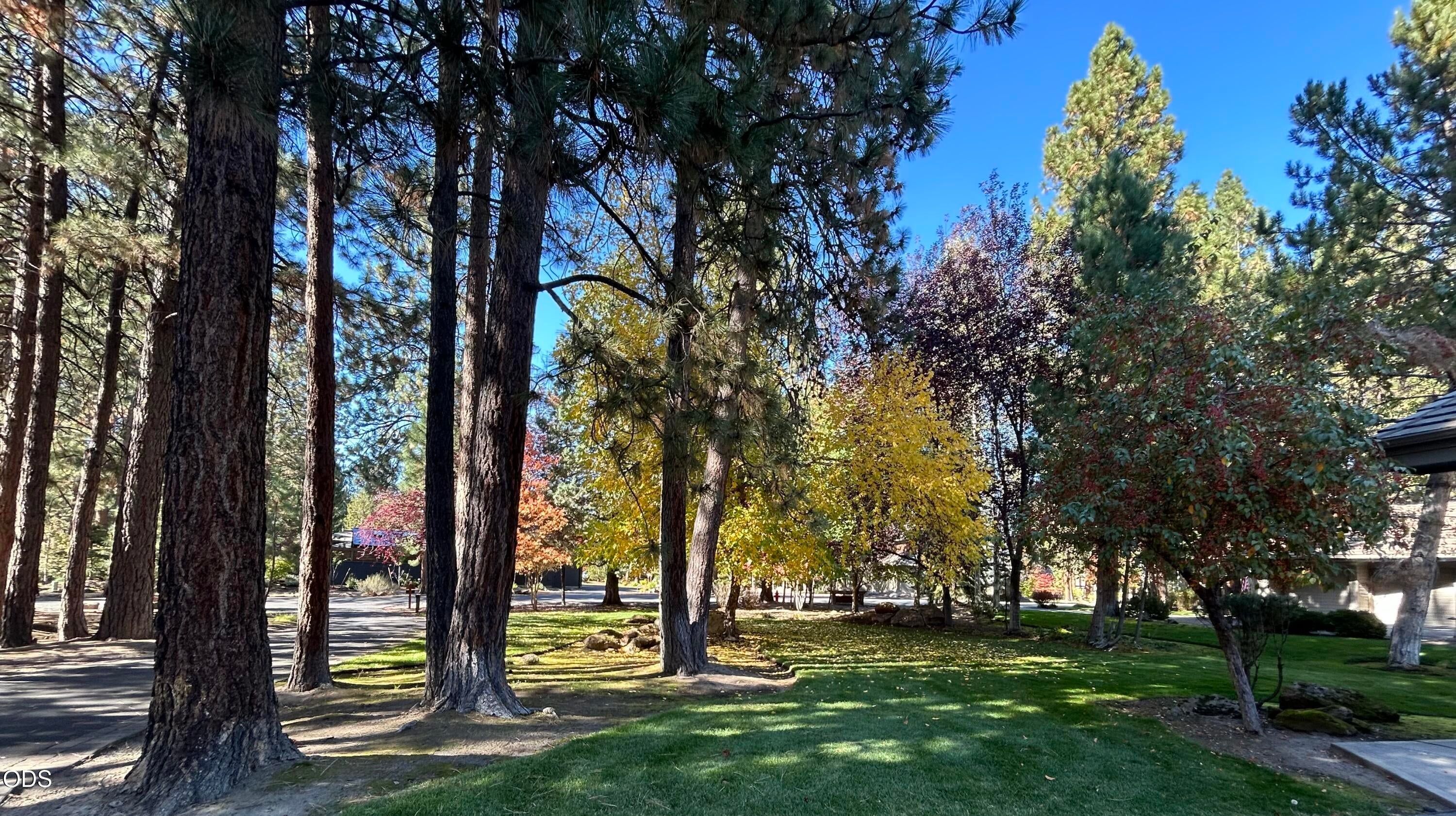 61866 Bunker Hill Court