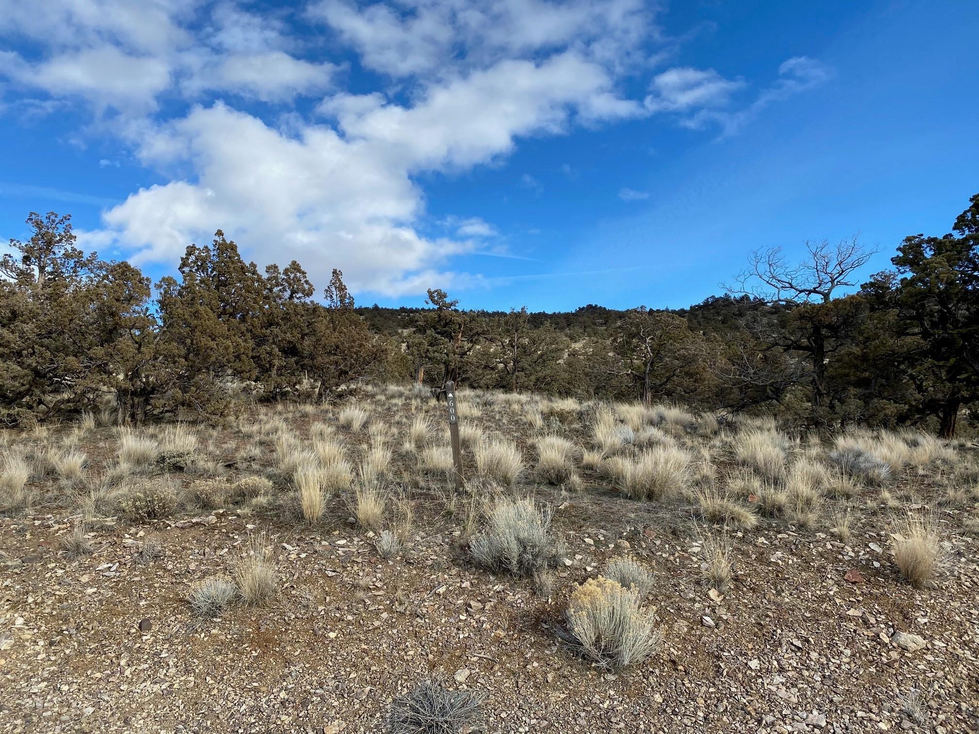 Brasada Ranch - Land