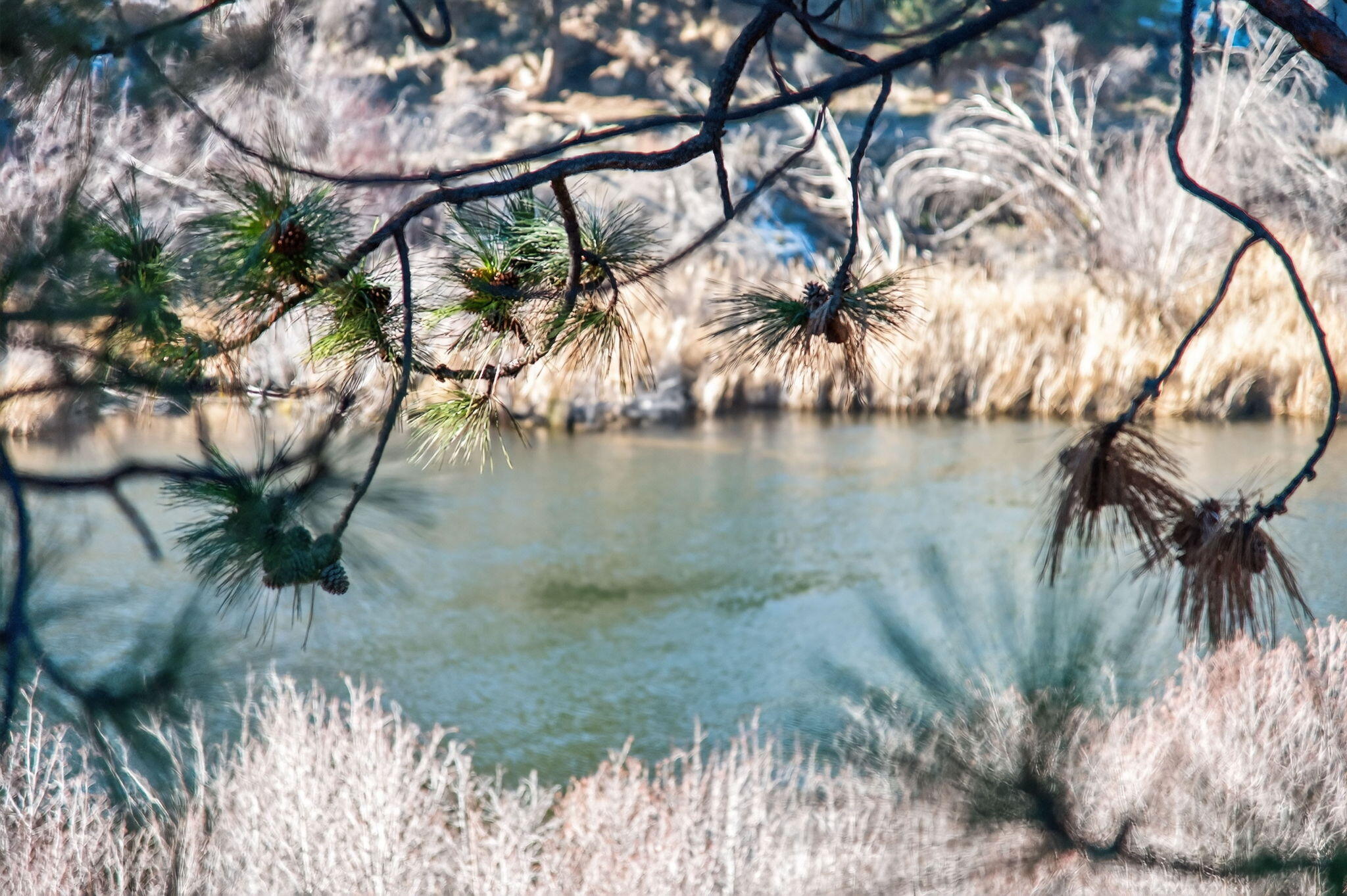 2201 NW Lakeside Place