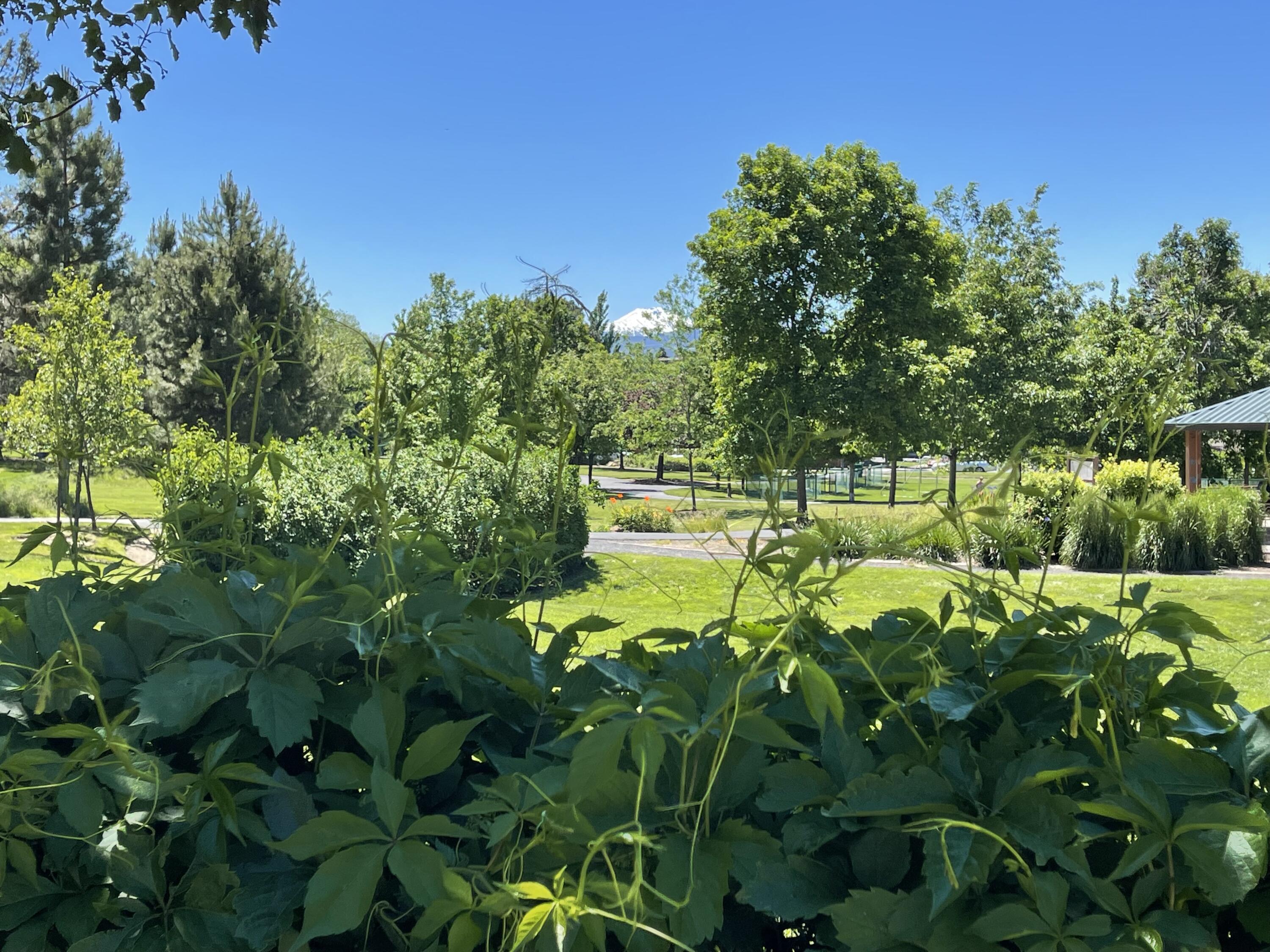 Orchard Hill - Residential