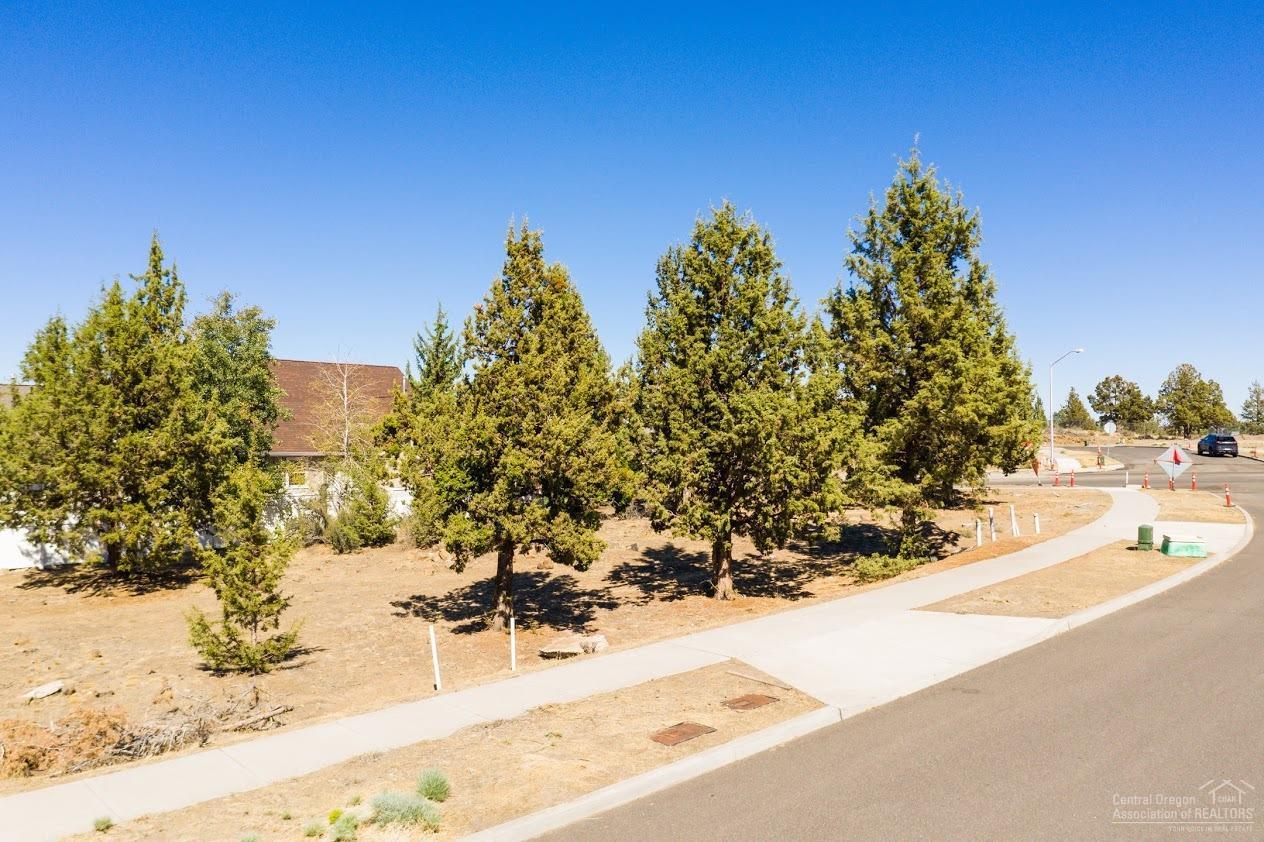 Holliday Park - Land