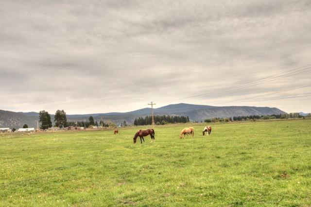 River's Bend - Residential