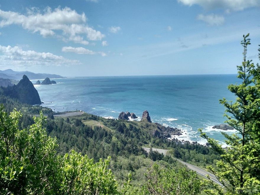 Hwy 101 on the Southern Oregon Coast is one of the most beautiful ocean drives in the US. This 84 acre offering is rare to market. Unspoiled parcel of old growth Myrtlewood, Pine, Spruce and Knotty Alder. Light, bright and dark and deep with magical mysterious ravines, canyons and natural springs. The elk and deer are at home here and so should you be! Buildable ocean view property just 10 minutes south of Port Orford. MFG home on property of no stated value. Adjacent 86 acres available for purchase.