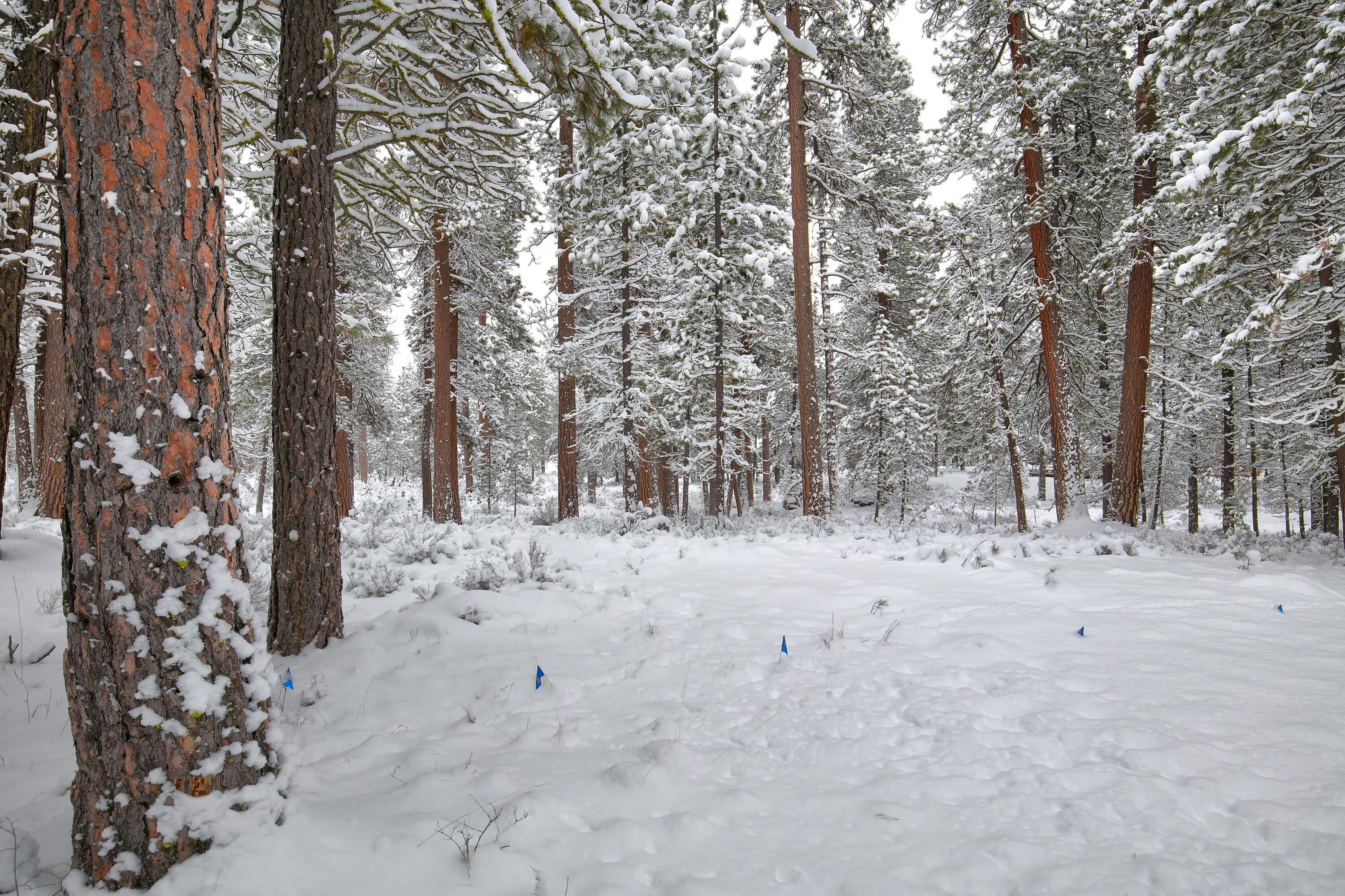 Black Butte Ranch - Residential