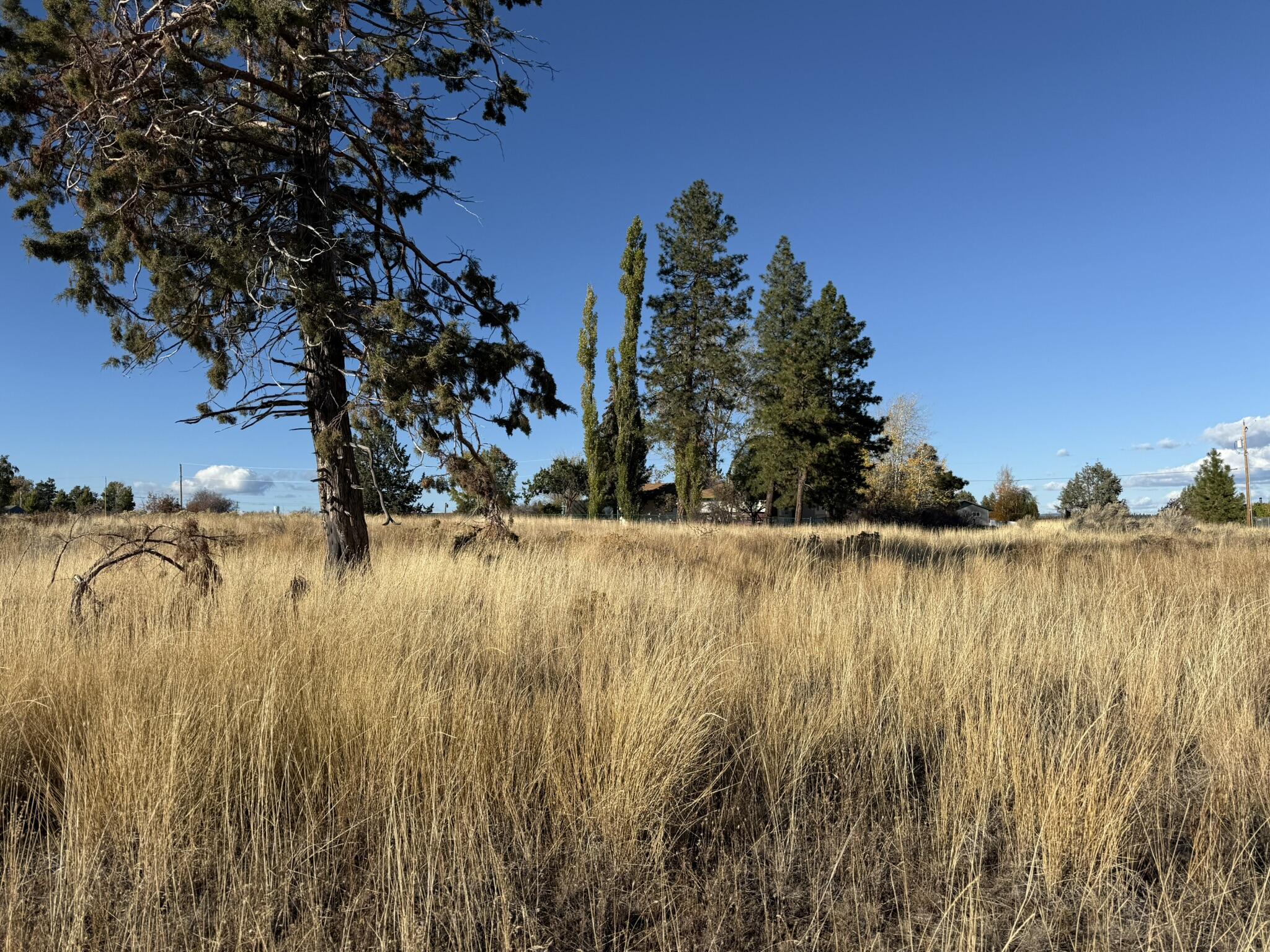 Oregon Shores -Unit 2-First Addition - Land