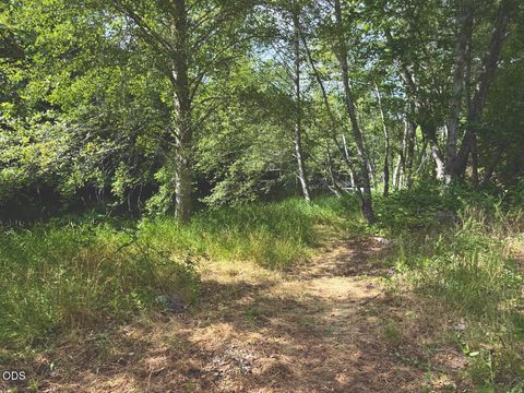 Tiny photo for 2874 Eastside Road, Jacksonville, OR 97530 (MLS # 220224632)