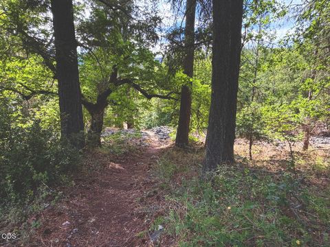 Tiny photo for 2874 Eastside Road, Jacksonville, OR 97530 (MLS # 220224632)