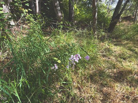 Tiny photo for 2874 Eastside Road, Jacksonville, OR 97530 (MLS # 220224632)