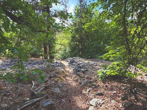 Tiny photo for 2874 Eastside Road, Jacksonville, OR 97530 (MLS # 220224632)