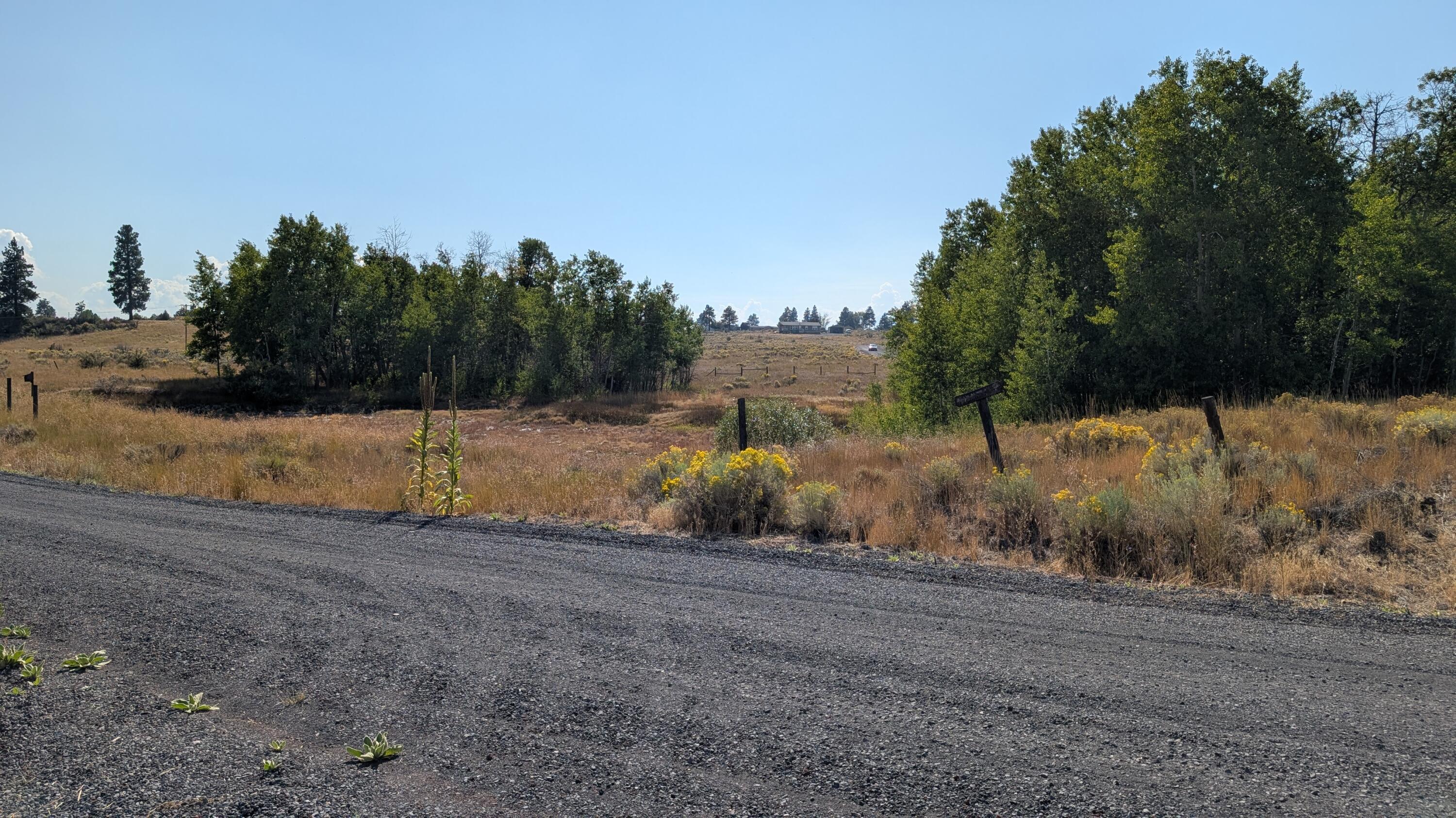 Oregon Shores -Unit 2 - Land