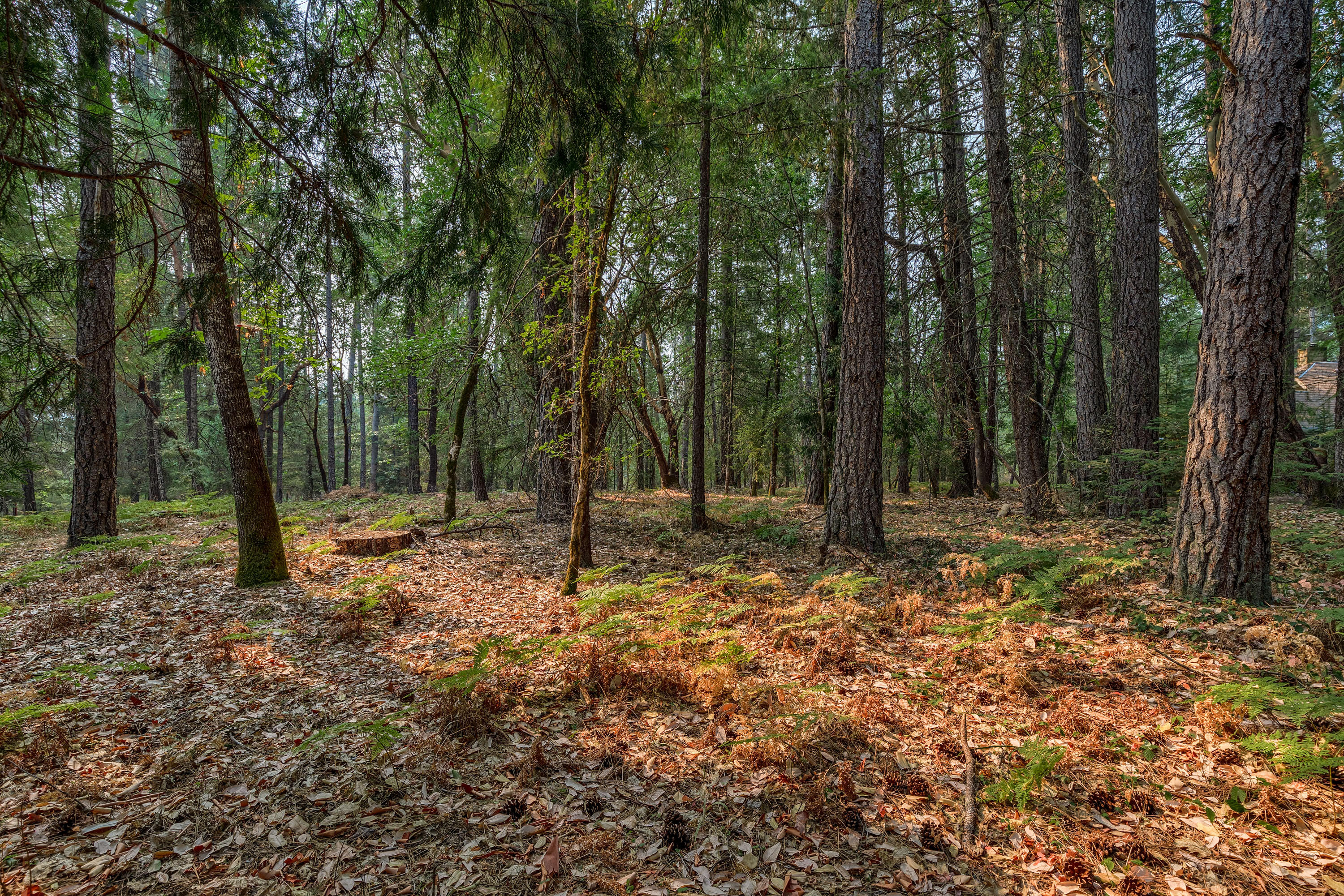 Redthorne Subdivision - Residential