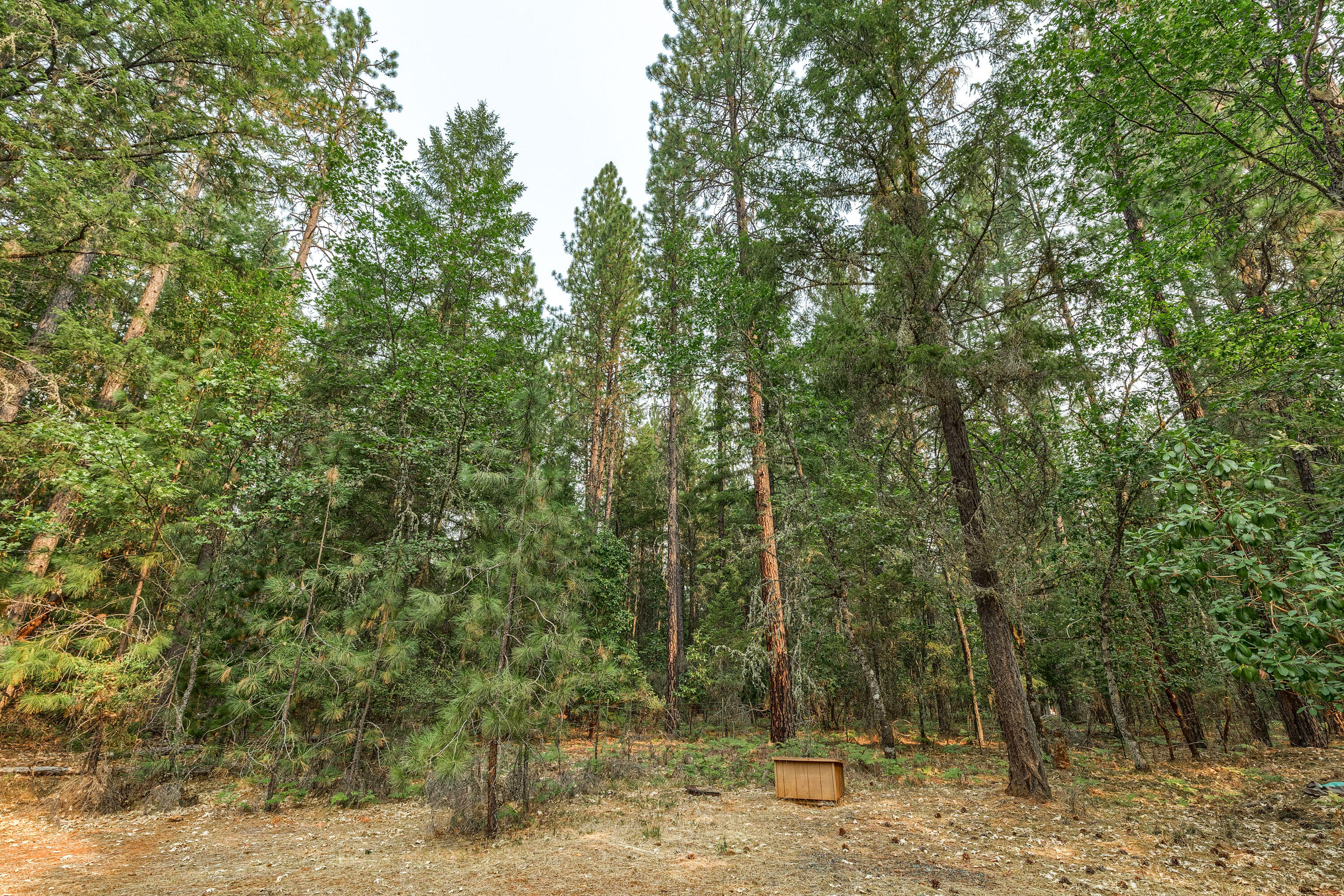 Redthorne Subdivision - Residential