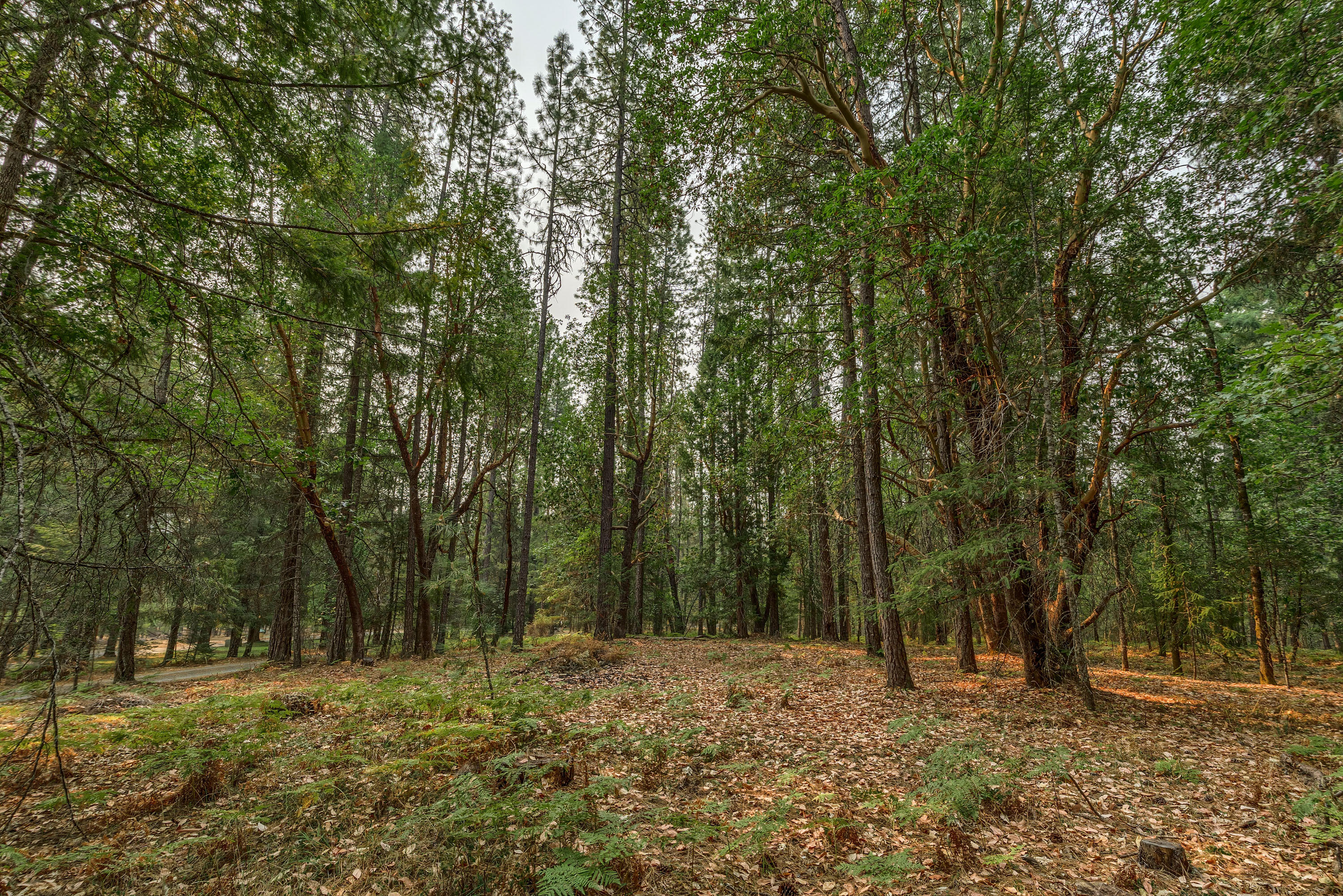 Redthorne Subdivision - Residential