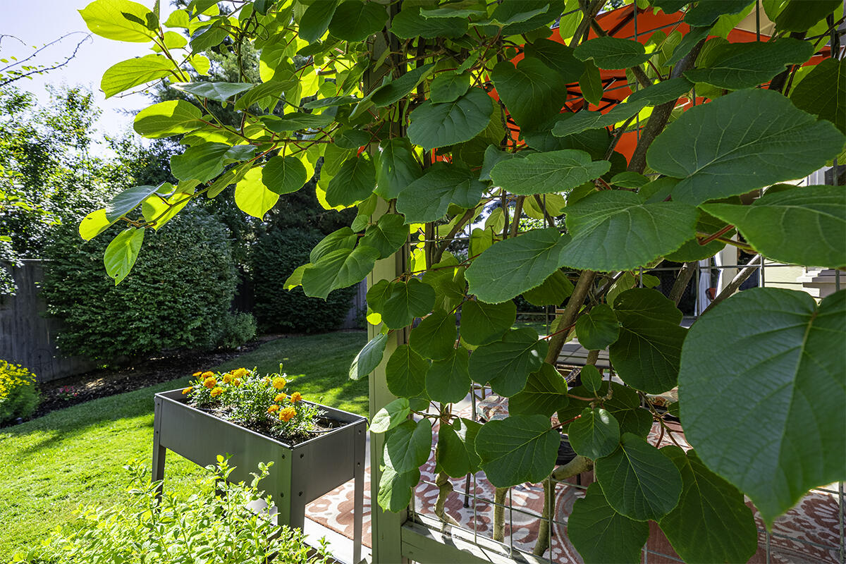 Mountain Park Estates - Residential