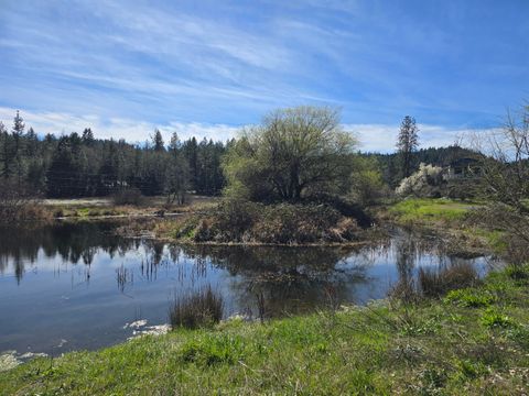 Tiny photo for 147 Warren Road, Selma, OR 97538 (MLS # 220217087)