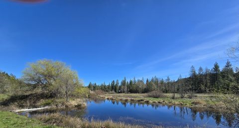 Tiny photo for 147 Warren Road, Selma, OR 97538 (MLS # 220217087)