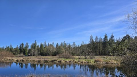 Tiny photo for 147 Warren Road, Selma, OR 97538 (MLS # 220217087)