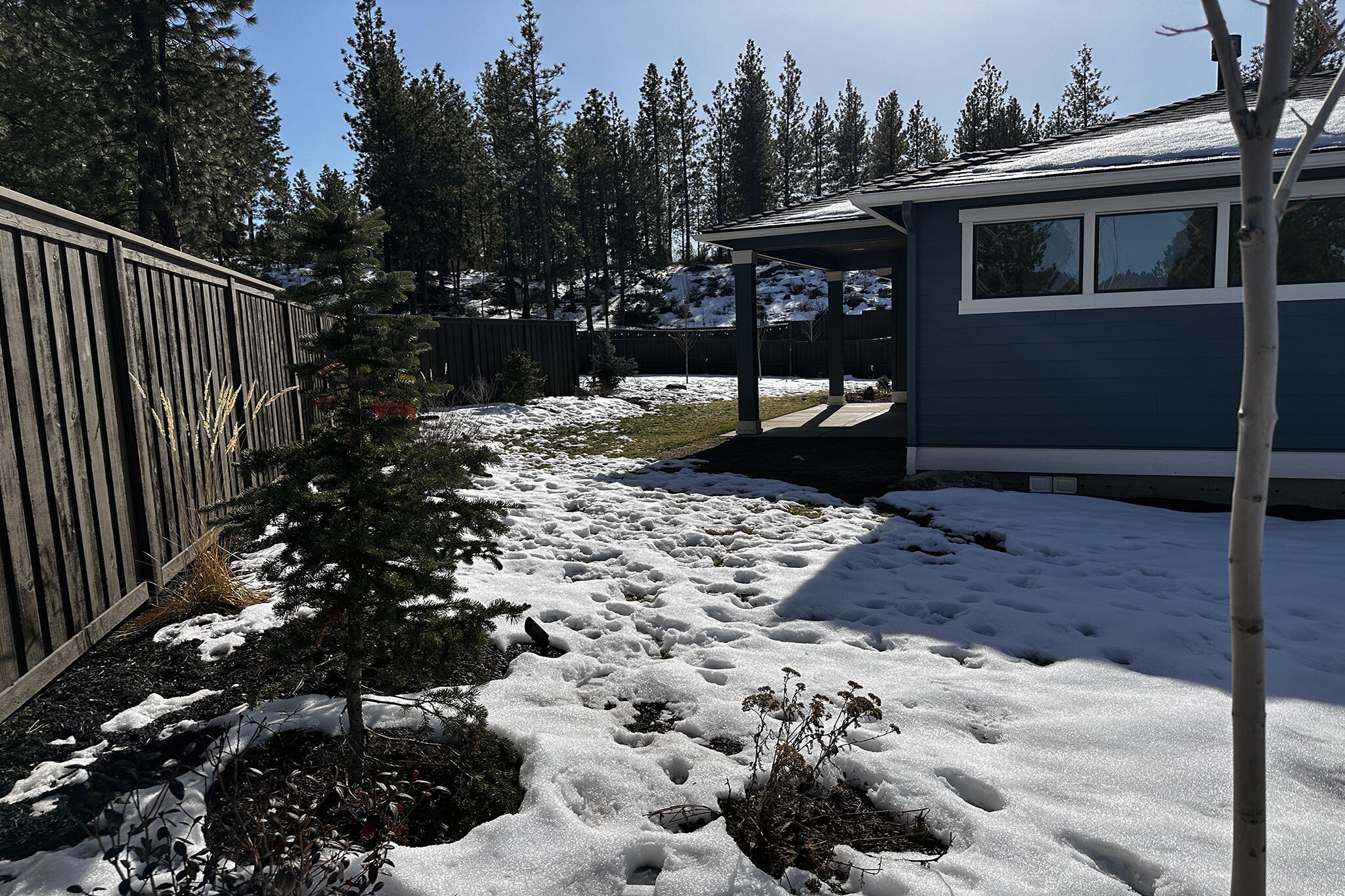 Treeline Phase 2 and 3 - Residential