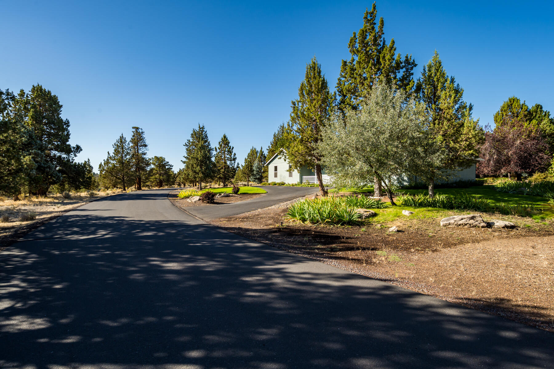 2525 Cliff Hawk Court