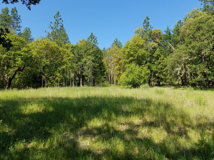 Love the WEST HILLS but want a new home? This gorgeous level treed five acres has an incredible driveway, shared well, standard septic approval, power available, hammer head turn around for fire truck & home site approval. Adjacent 4+ acre parcel also for sale (MLS# 3002286) making this perfect for a TWO FAMILY SET UP. GOING... GOING... GONE!