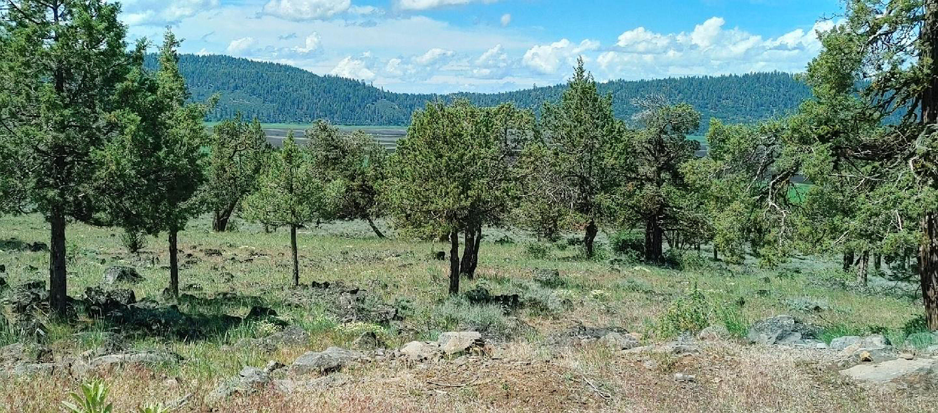 Running YResort - Land