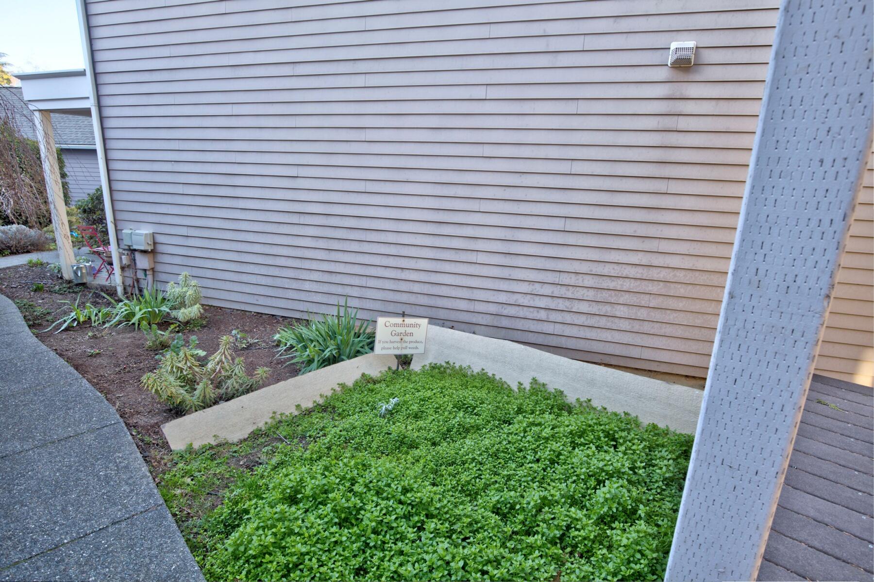 Siskiyou Springs Luxury Townhomes - Residential