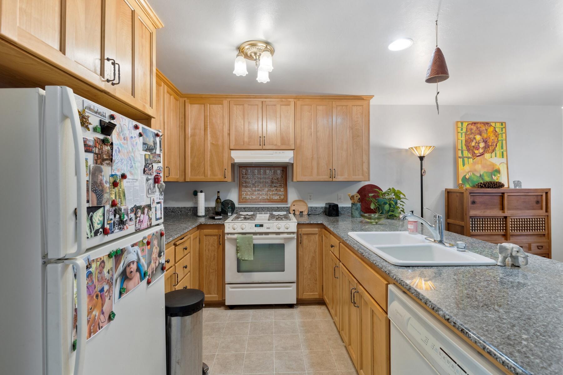 Siskiyou Springs Luxury Townhomes - Residential