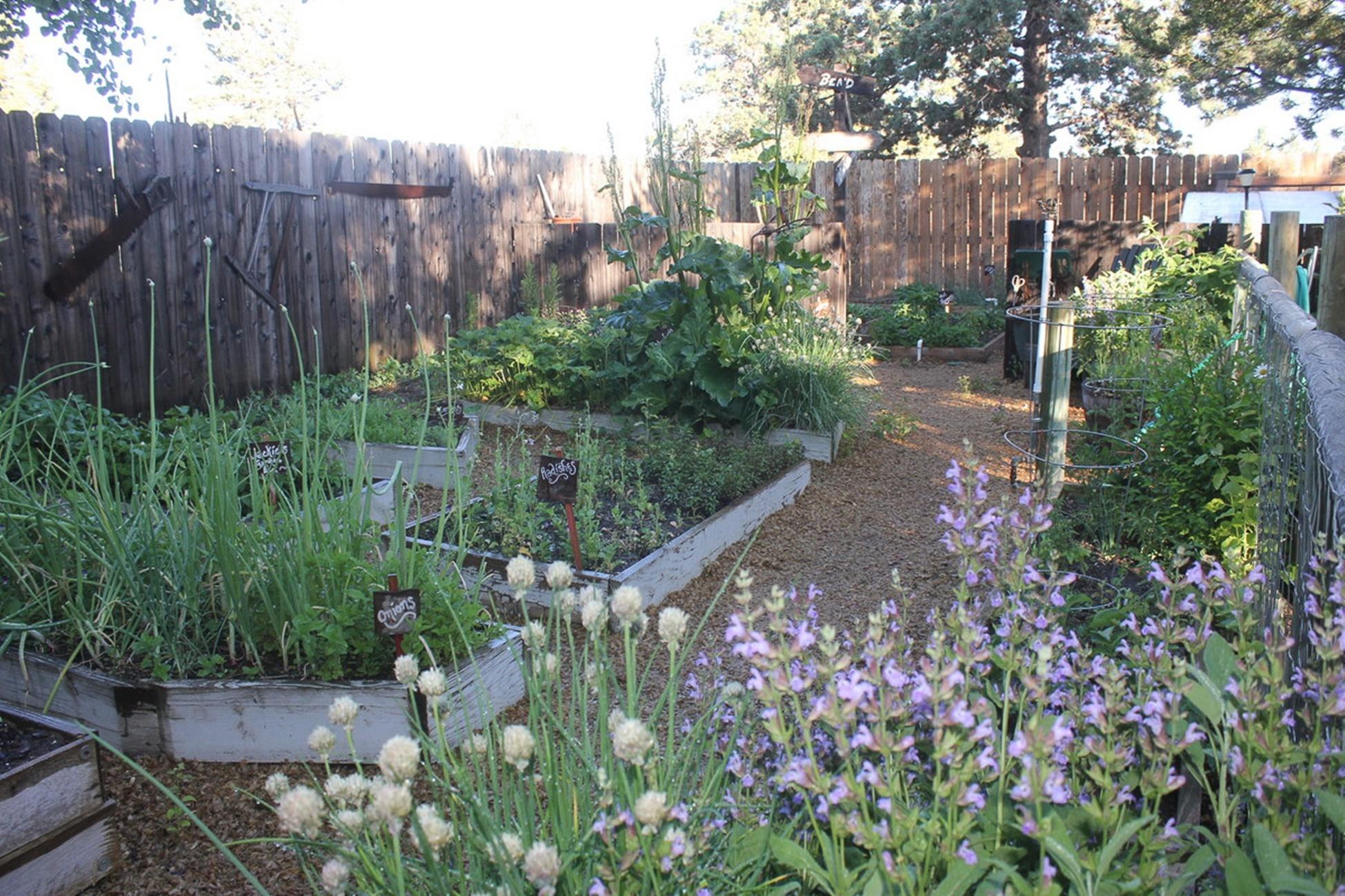 Buena Ventura - Residential