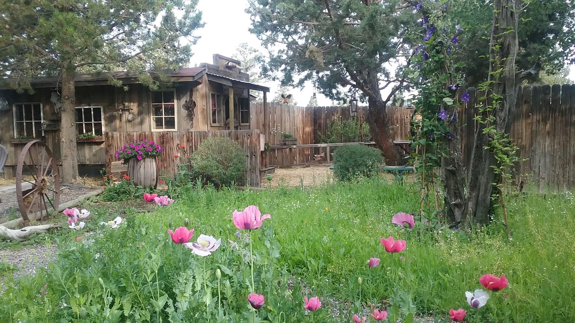 Buena Ventura - Residential