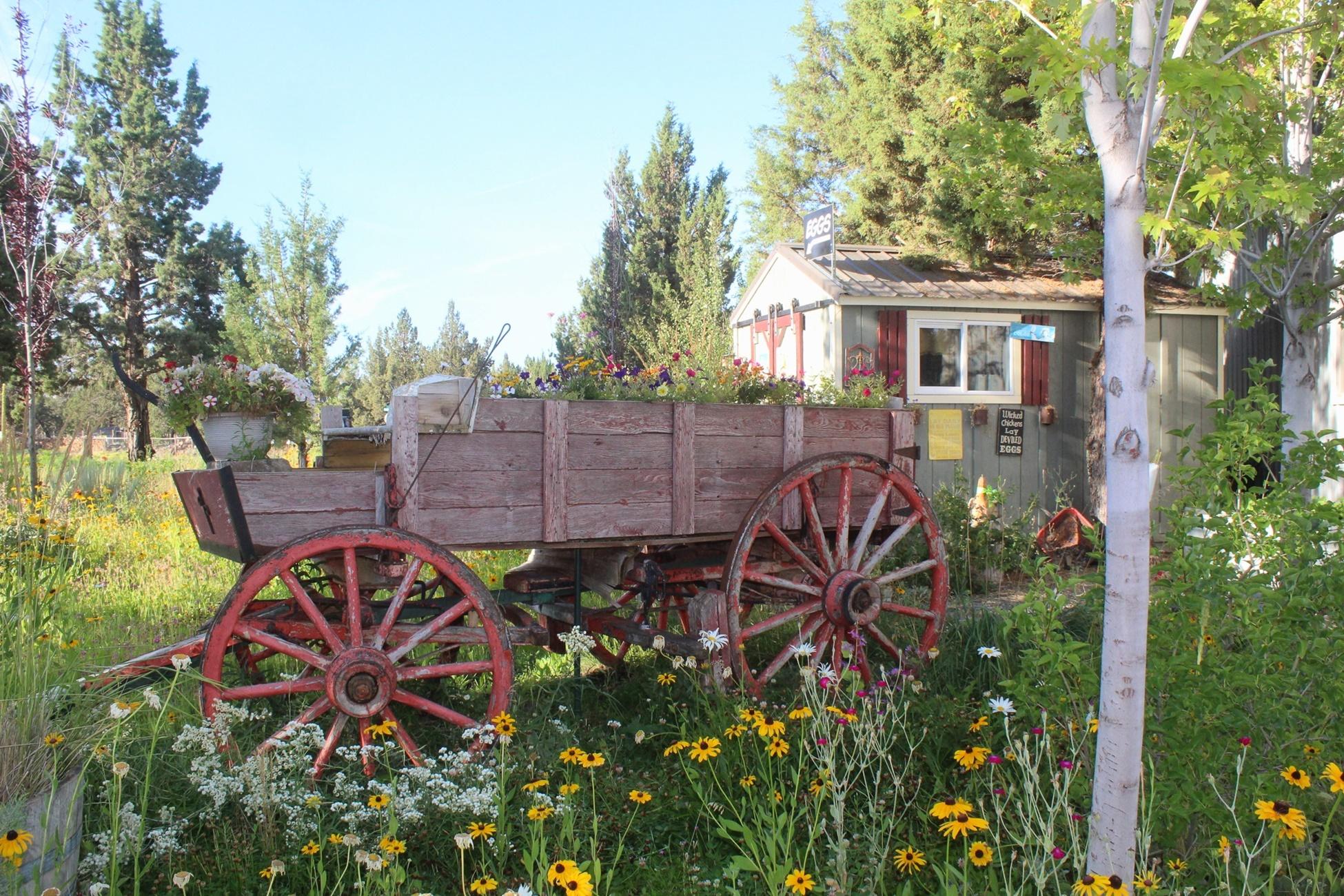 Buena Ventura - Residential