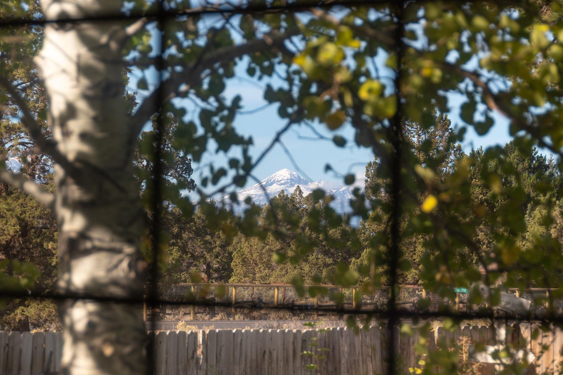 Buena Ventura - Residential