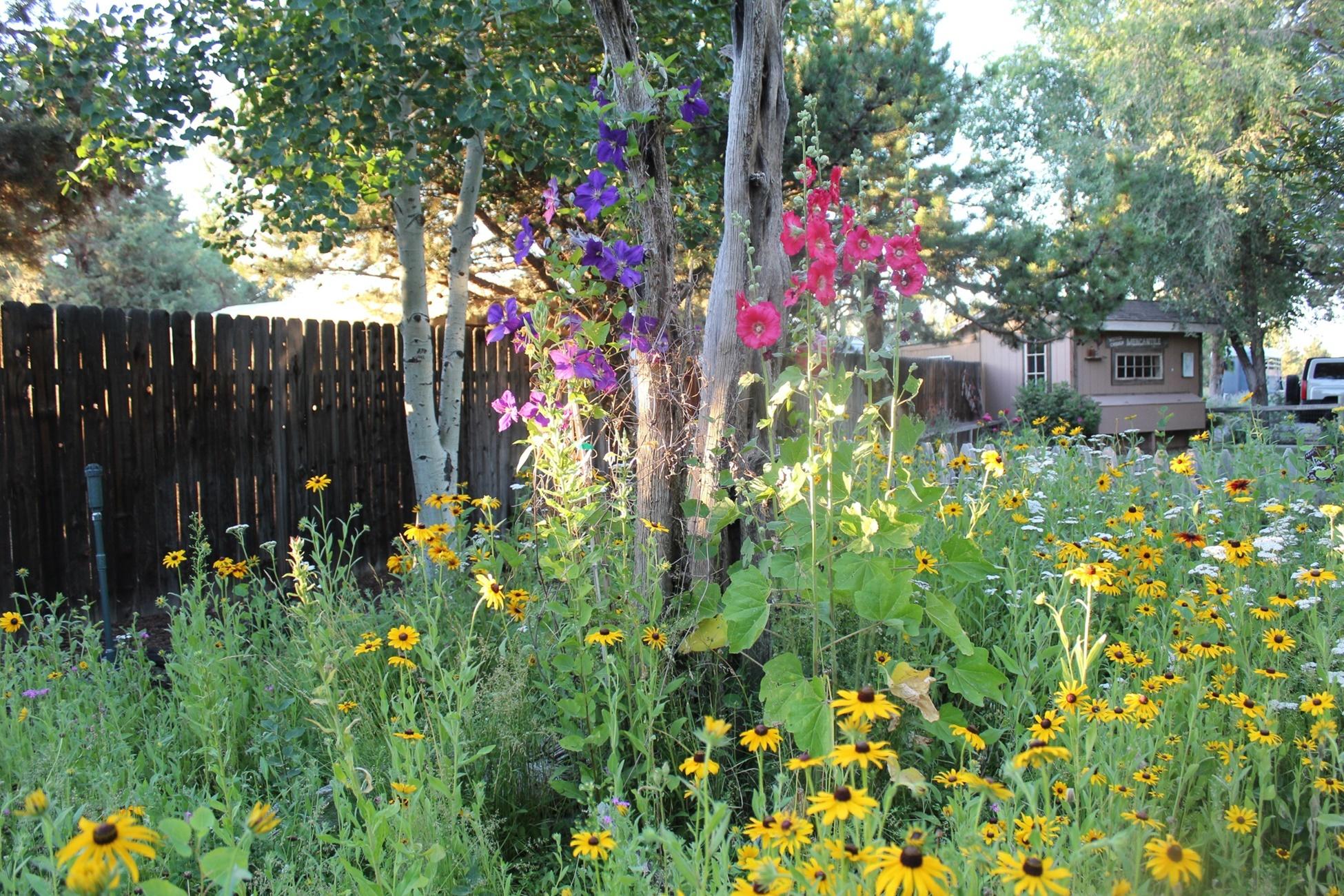 Buena Ventura - Residential