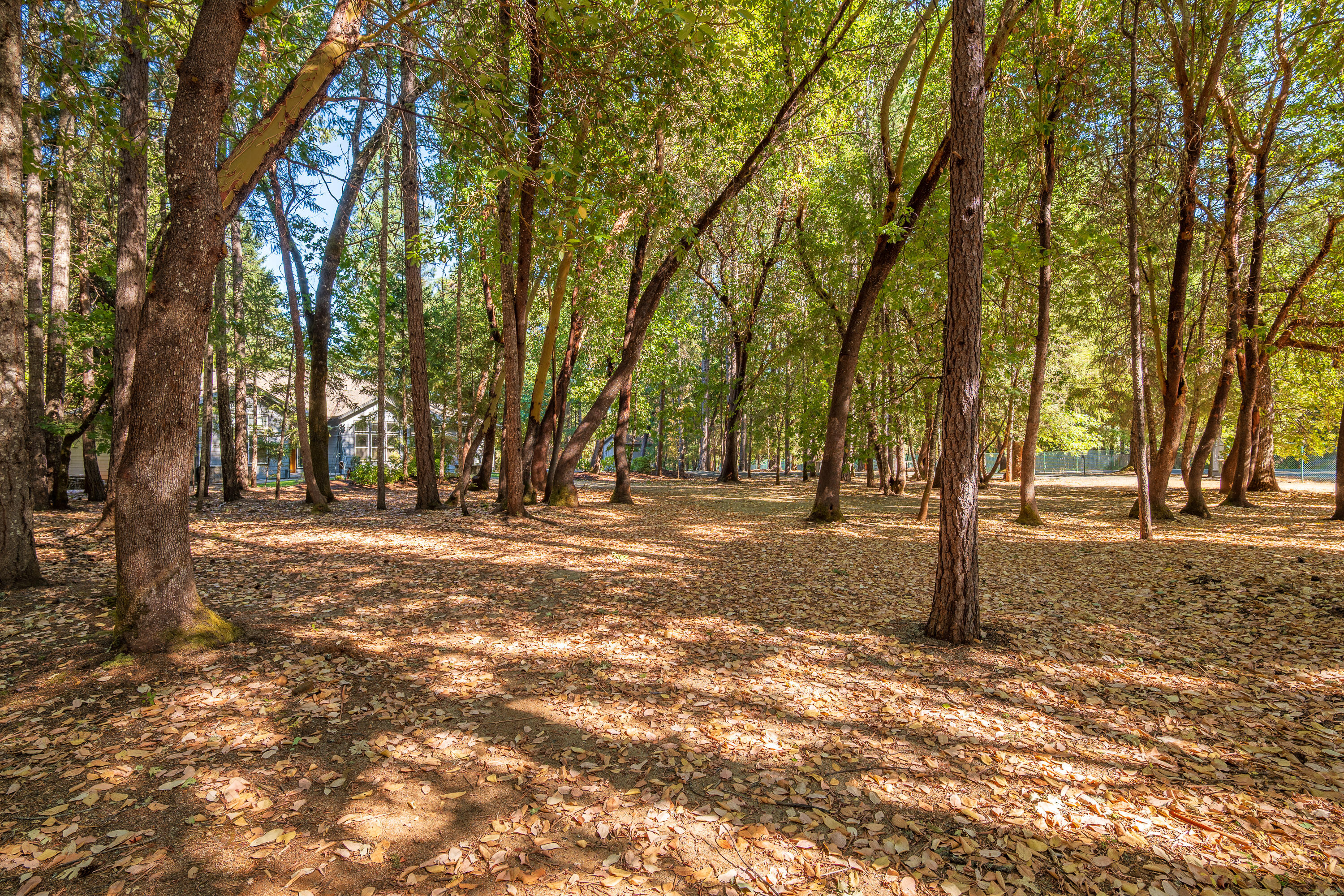 Sugarpine Subdivision - Residential