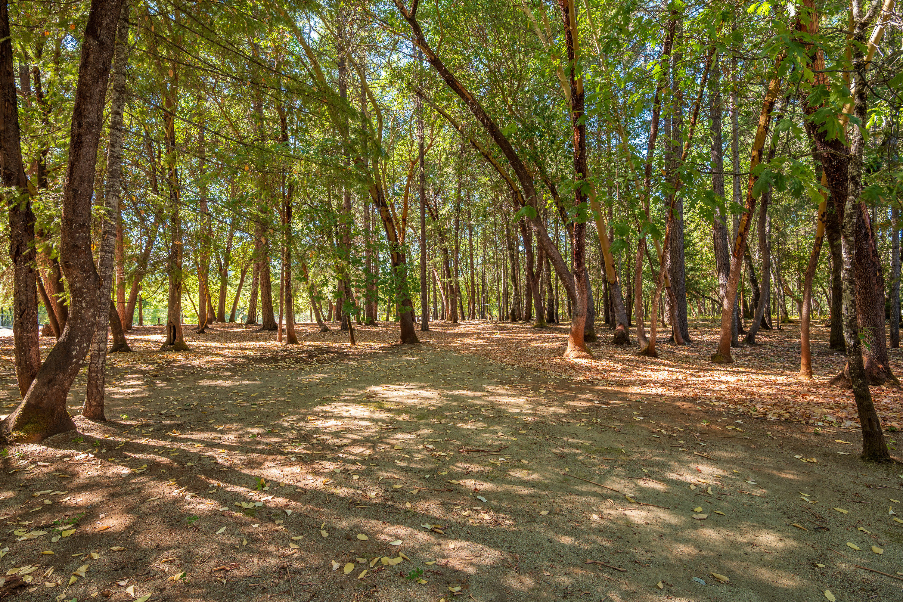 Sugarpine Subdivision - Residential