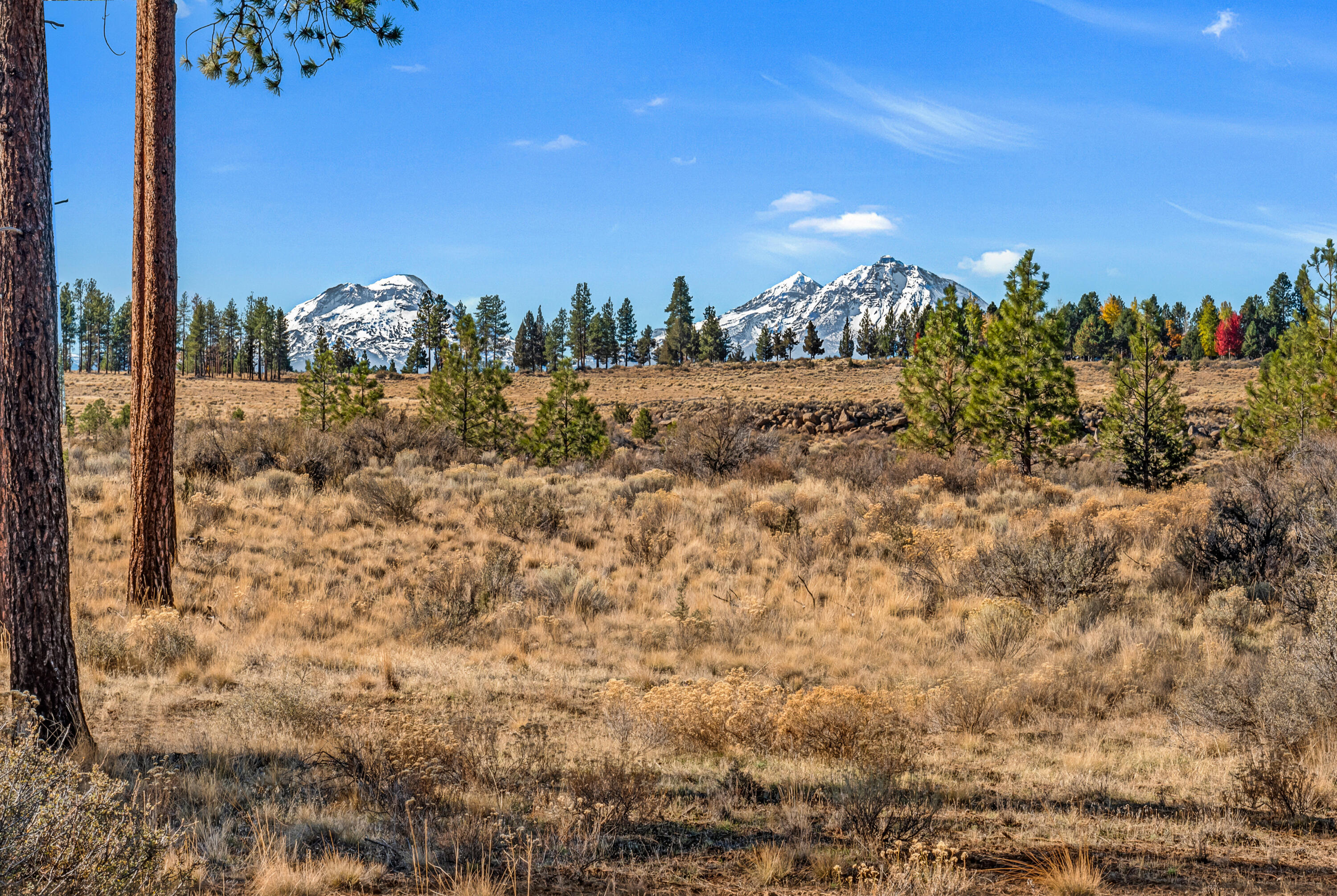 Lynwood Acres - Residential