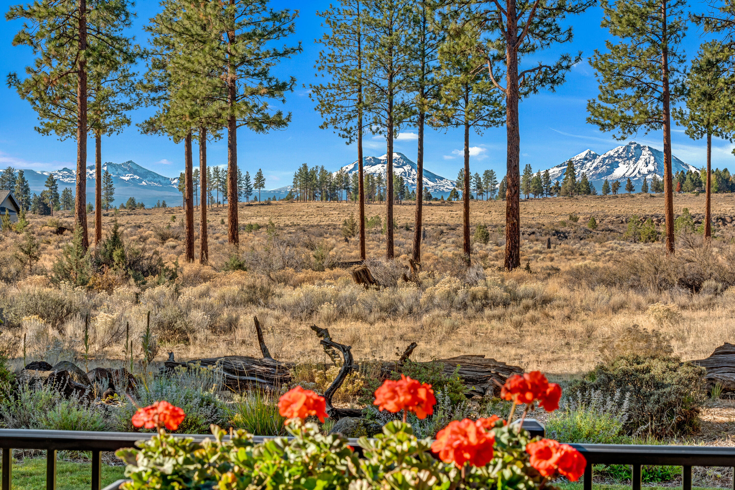 Lynwood Acres - Residential