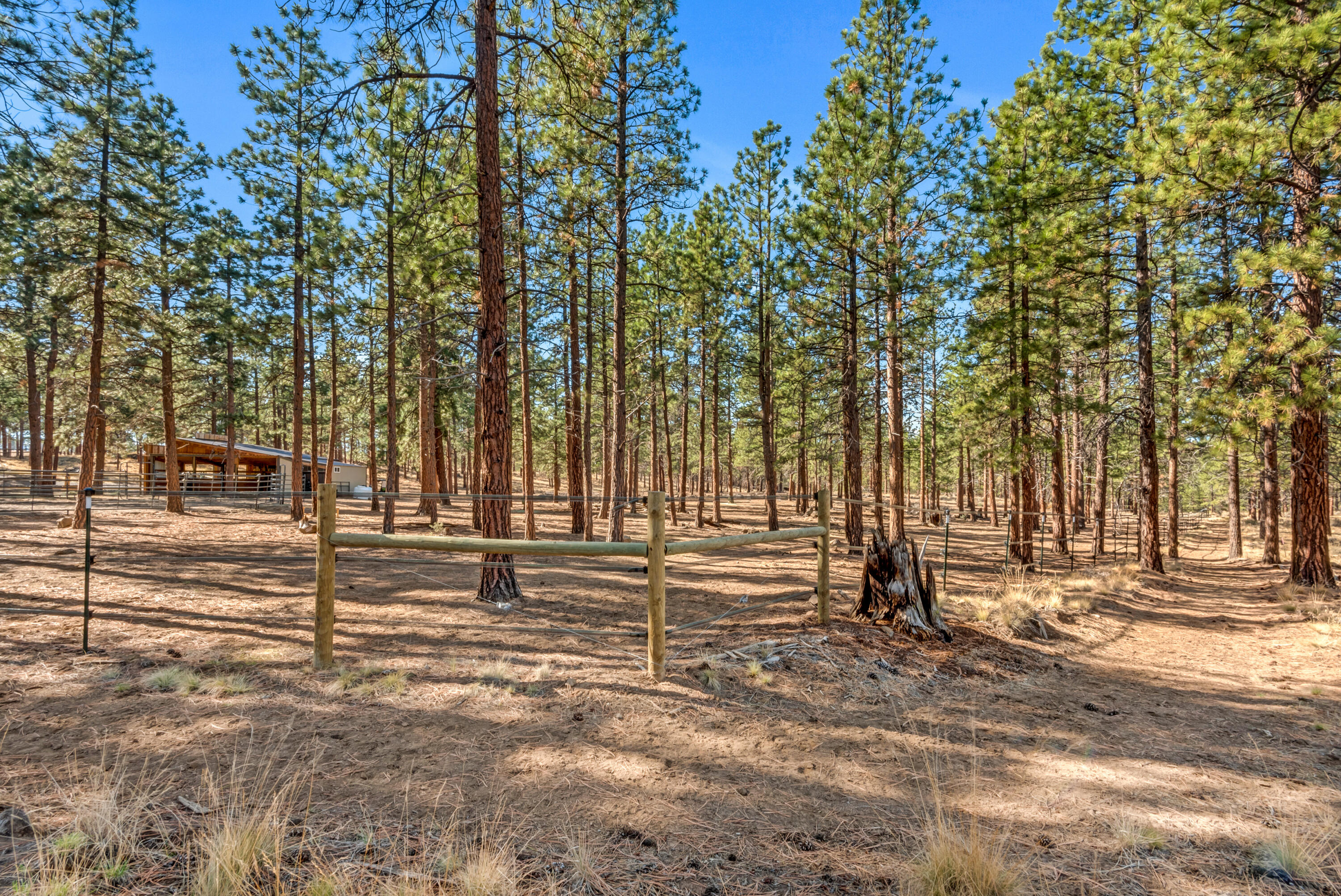 Lynwood Acres - Residential