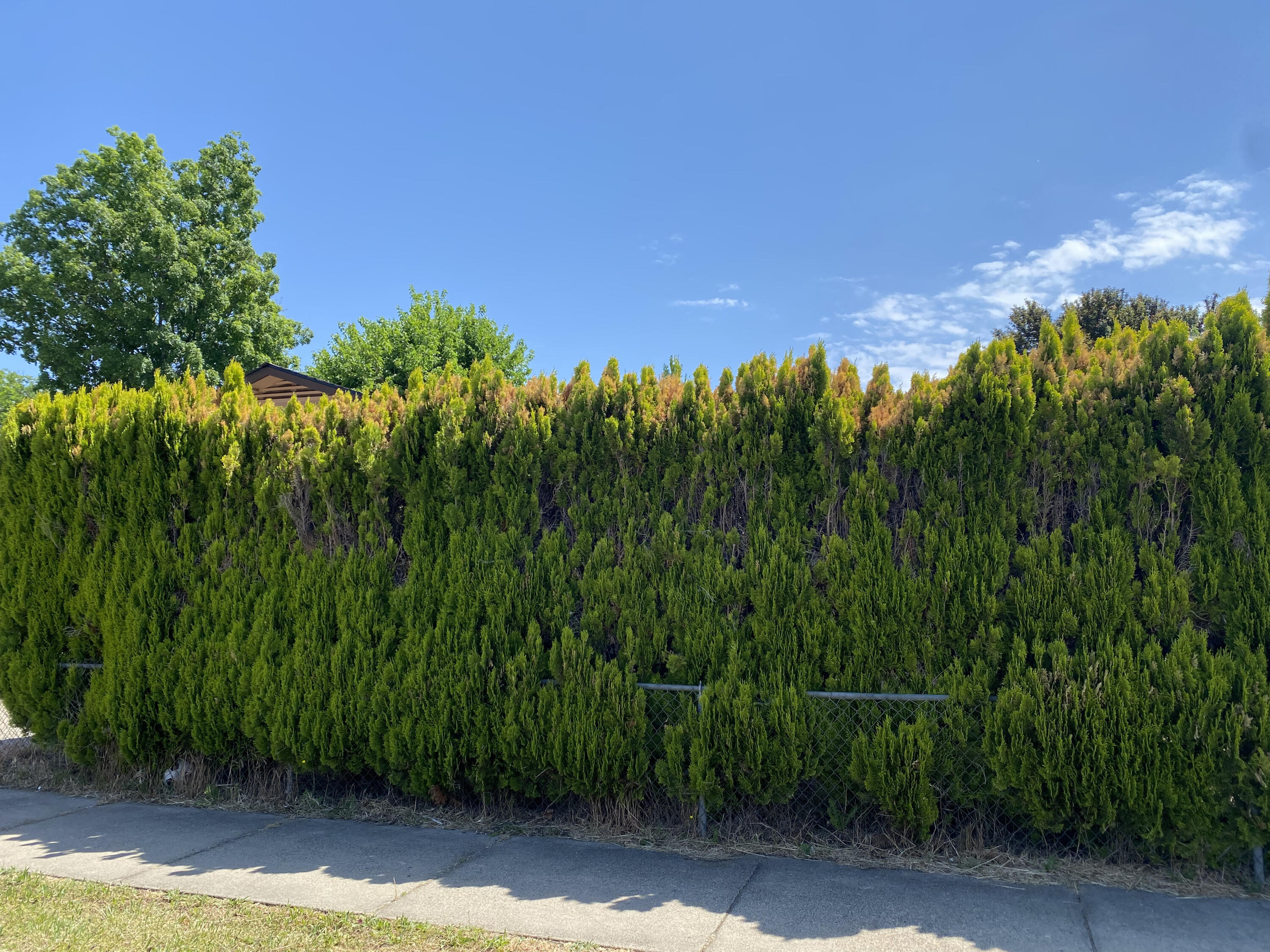 Meadowcrest View Subdivision - Residential