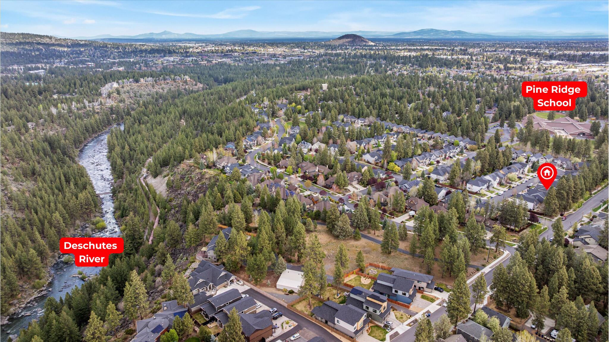 19769 Chicory Avenue