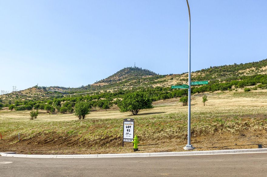 Sold Only.  Saddle Ridge Phase 4, Lot 93.'
Great corner lot in a subdivision of upscale homes.  Listing agent is related to the seller.