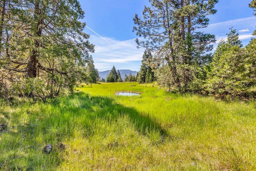 Jerry Flat 820 is an incredible opportunity to own large private forestland that boasts an abundance of wildlife, recreational opportunities and both near and long-term investment potential. This land is uniquely situated just five miles from the city of Riddle and I-5, making it easily accessible while still maintaining the feelings of privacy and seclusion. Ideally suited for both near and long-term income potential, it is well stocked with a mix of Douglas-fir, Cedar and Pine, with approximately 400MBF of Doug-fir ready to harvest. A well-maintained, native surface internal road system provides access to the majority of the land. The terrain and landscape are incredibly diverse and only add to the overall beauty and appeal of the property. The abundance of wildlife makes this a hunter or wildlife lover's dream property and includes elk, deer, bear, coyote and turkey. Water features are numerous and include year-round Jerry Creek, two ponds and a number of seasonal creeks.