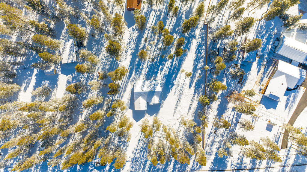 Forest View - Residential
