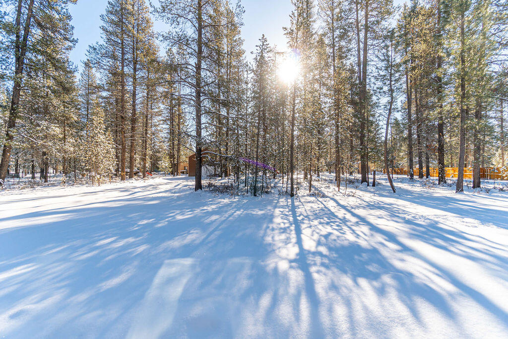 Forest View - Residential