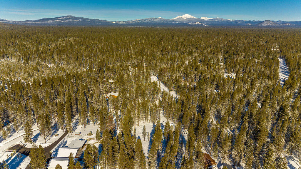 Forest View - Residential